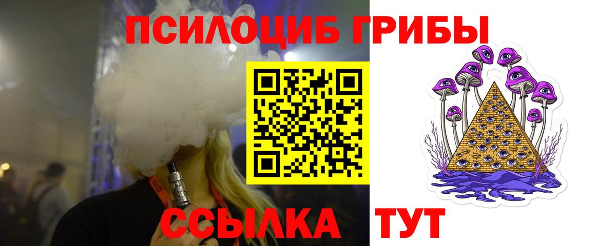 Галлюциногенные грибы Psilocybe Карталы